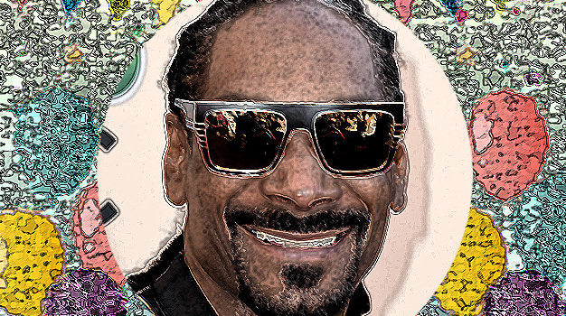 October 20 – Snoop Dogg gets a struggle with a toaster